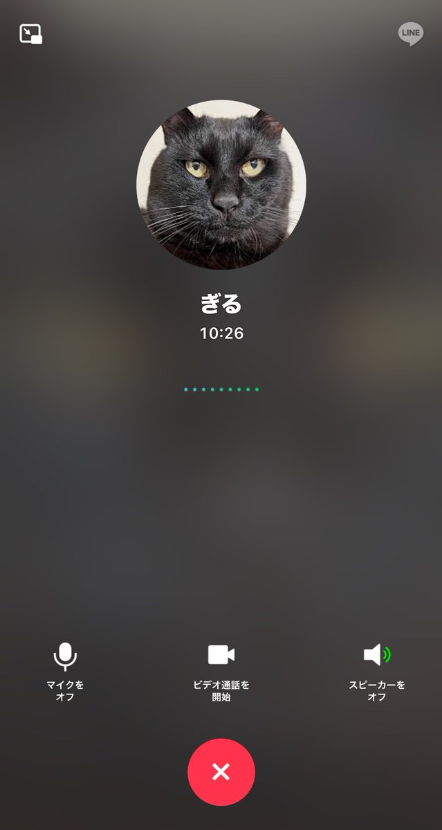 ALEX-XX. tweet media