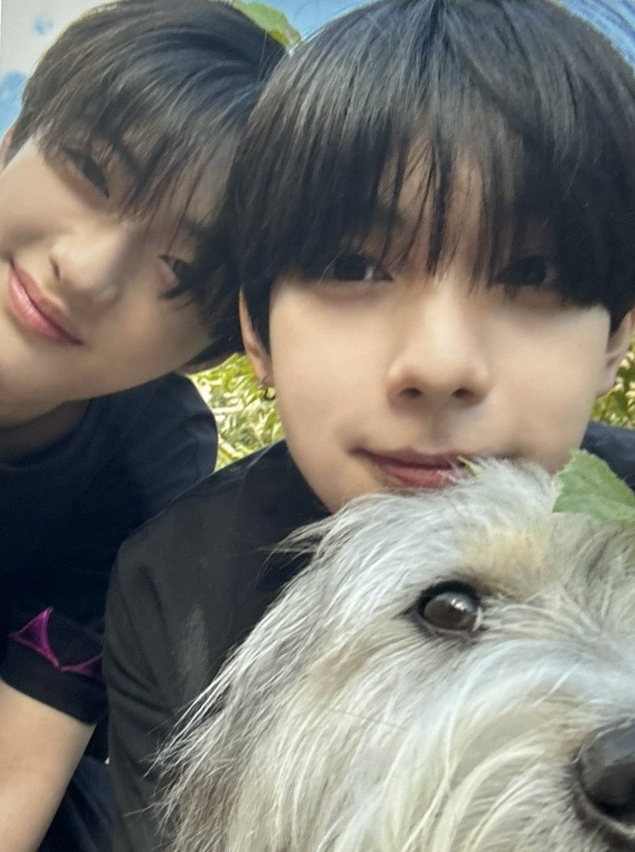 몽몽.. tweet media