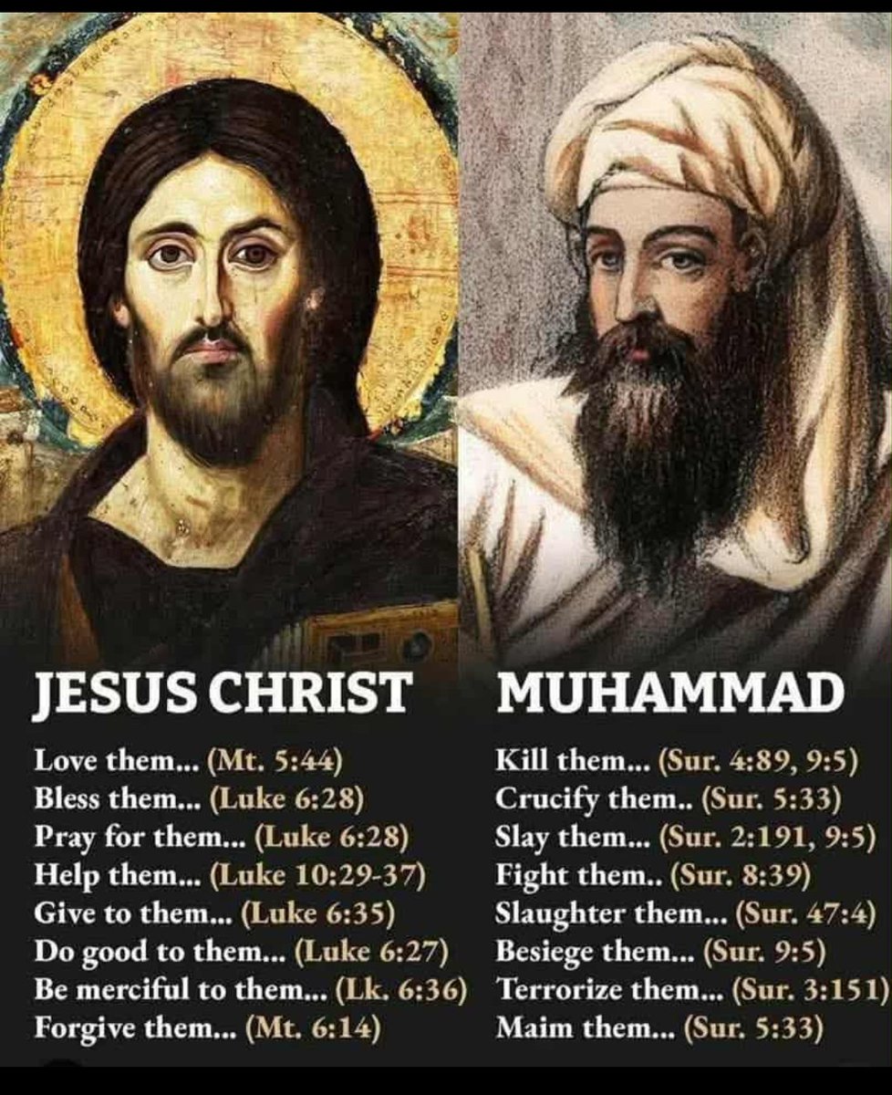 ELVIS RIDLEY tweet media