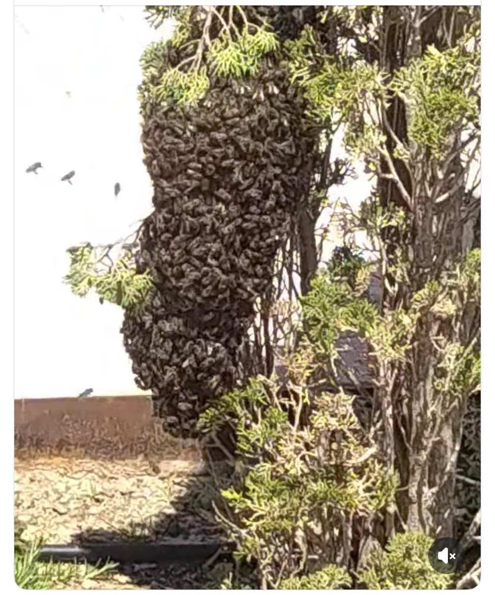 P. C.  La Unión tweet media