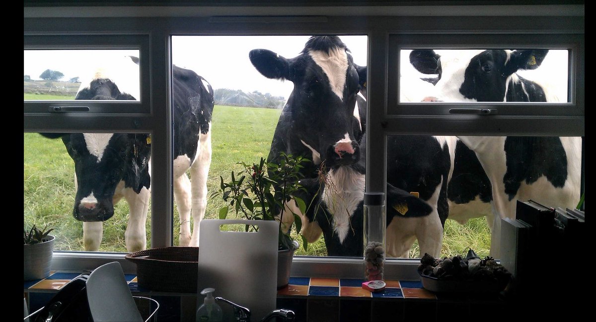 Dalesdipstick tweet media