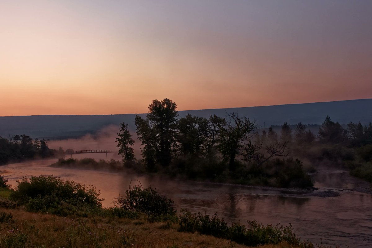 Pat Dooley tweet media