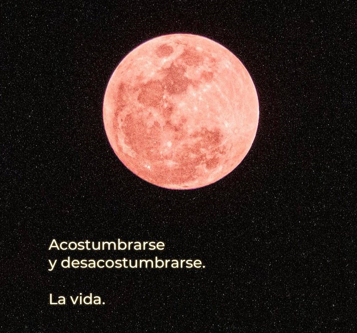 nación (@escritosnacion) on Twitter photo 