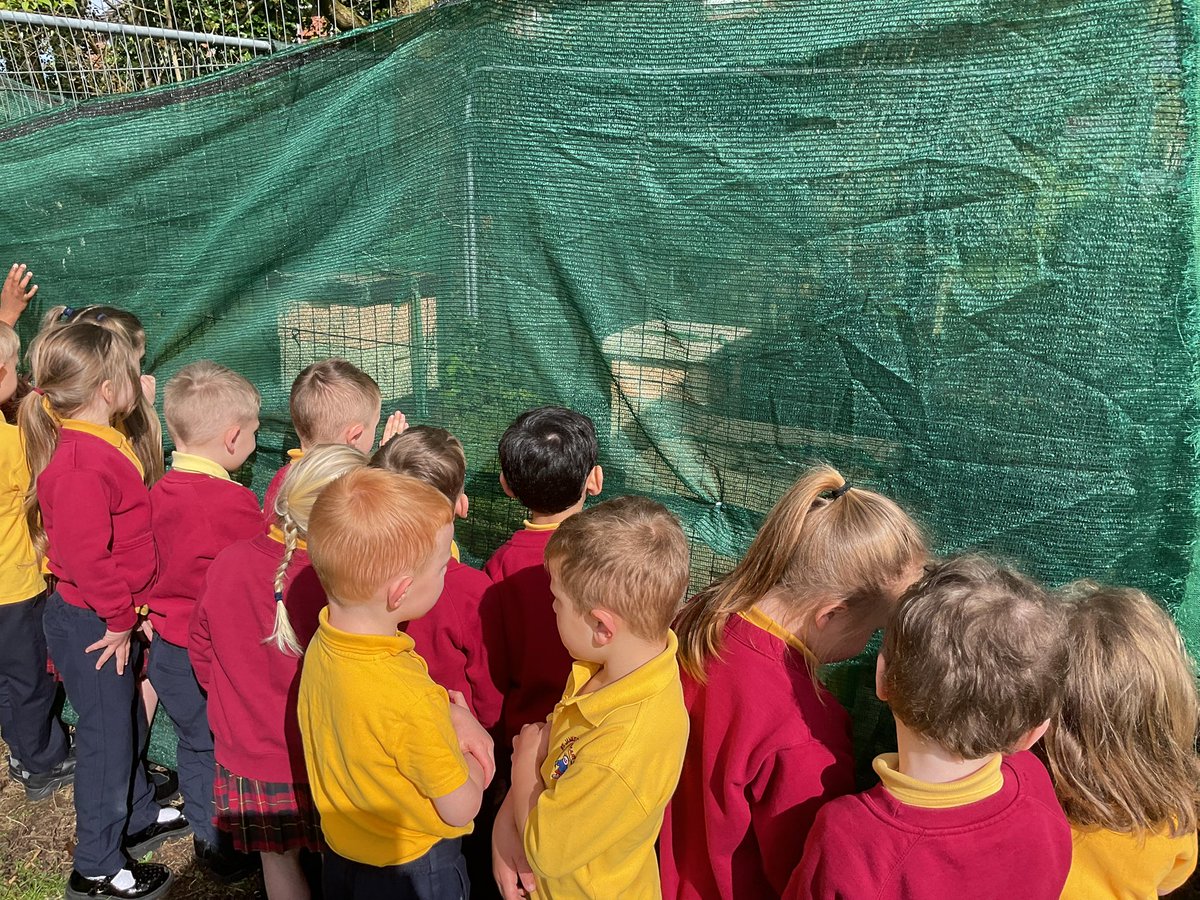StJamesRecep's tweet photo. We couldn’t quite believe it when the Beeman told us that we had beehives on our school grounds. So we went to see for ourselves this morning! Some of the bees had died over winter but we spotted the hive that still had bees living in it 🐝 
@StJamesChorley @StJamesRecep https://t.co/K61lbWaFmf