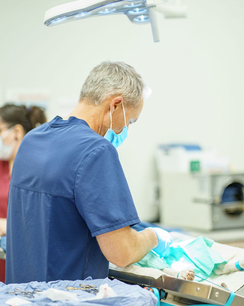 Dr. Kelly's Surgical Unit tweet media