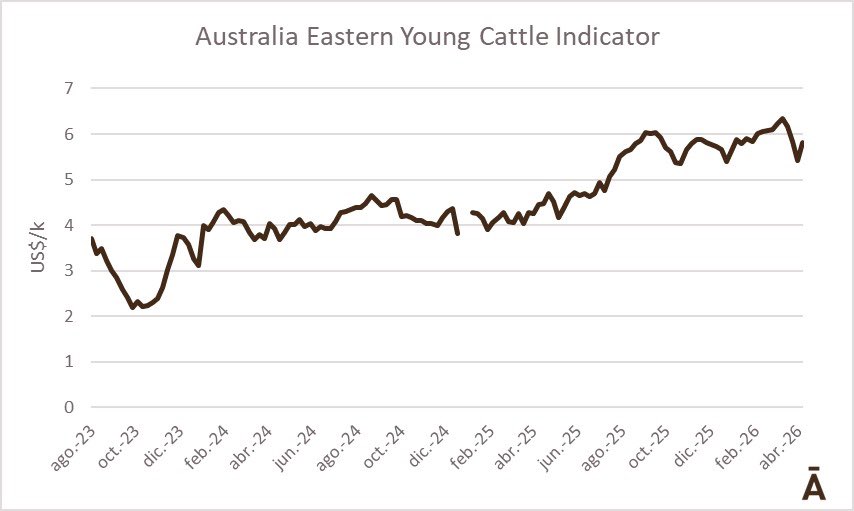 WorldBeefReport's tweet photo. 🌏 Oceania 

➡️ Quilty sees a price peak in 2027 driven by a shift in the global cycle
👉 https://t.co/dRIO6K1CpY https://t.co/4cZdXvuEiY