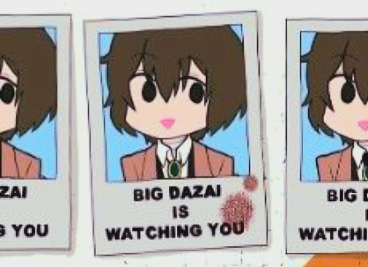 سيلو tweet media