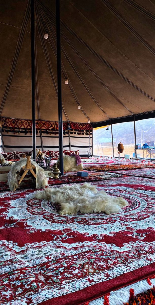 مَوئِل | معماري 🏛️ tweet media