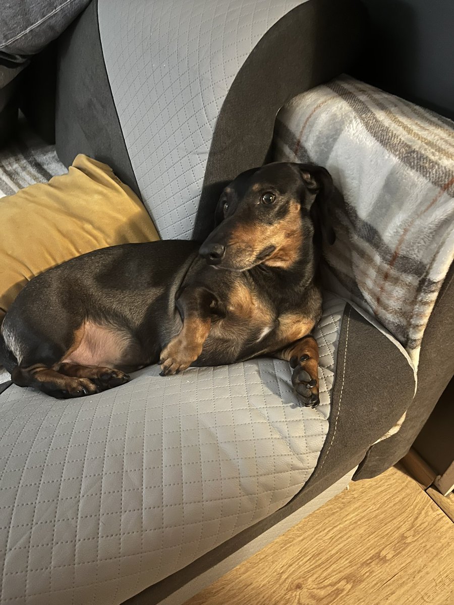 ཻུ♡˚ tweet media