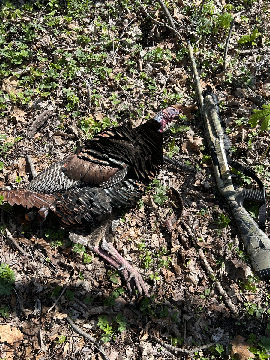 LFnFL 🦌🦃🏹🏈 🍢🌶️ tweet media