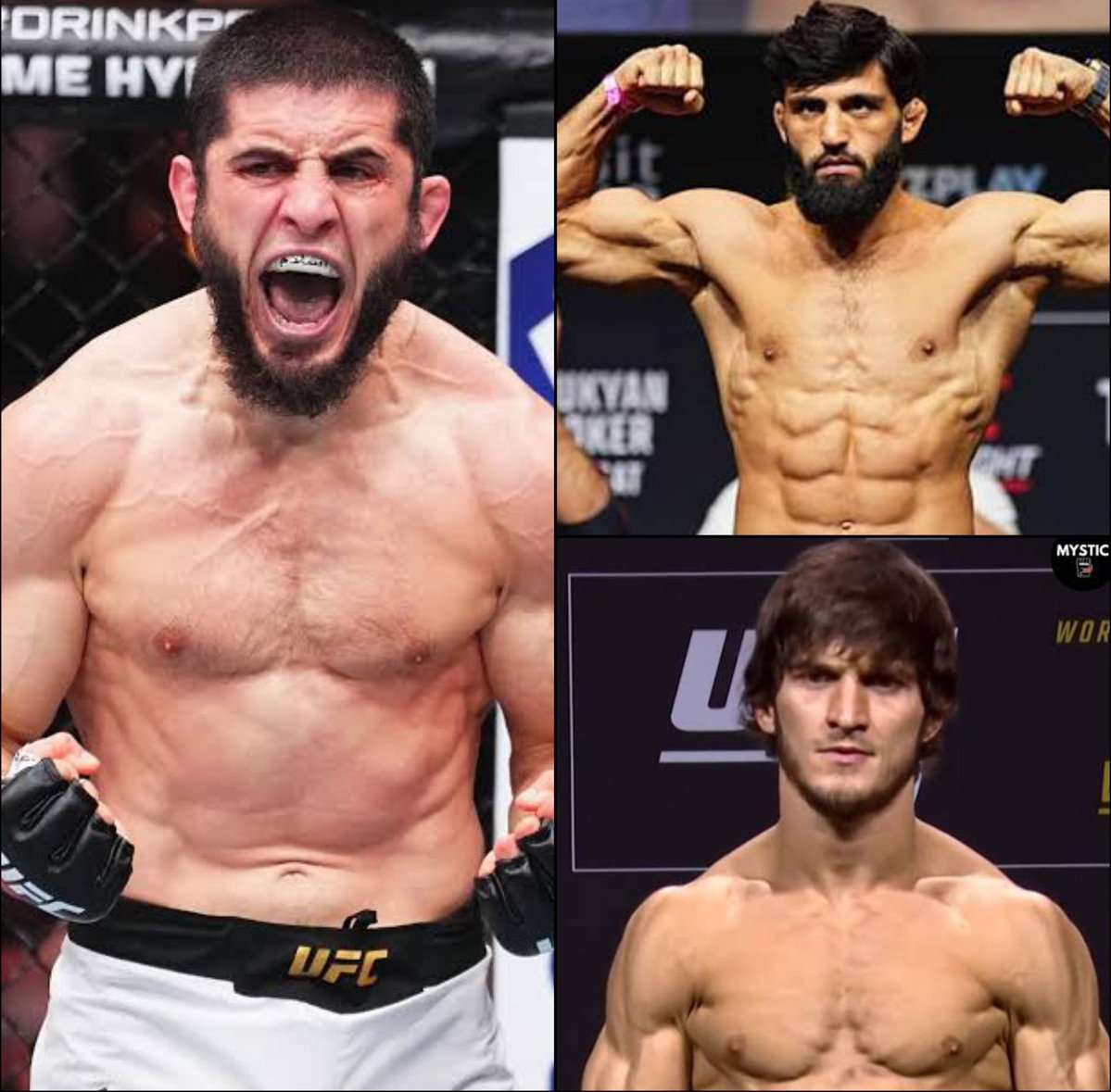 The Polls Guy 🎩 tweet media