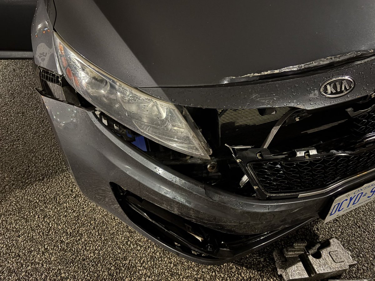 M A D D I E tweet media