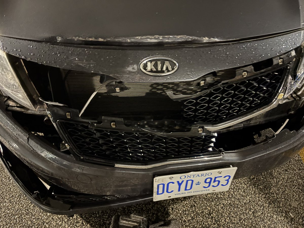 M A D D I E tweet media