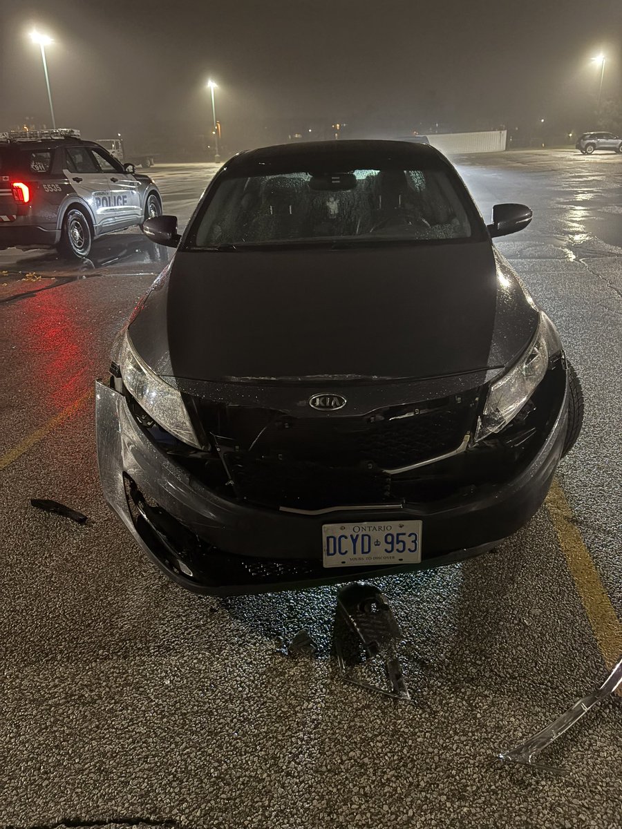 M A D D I E tweet media