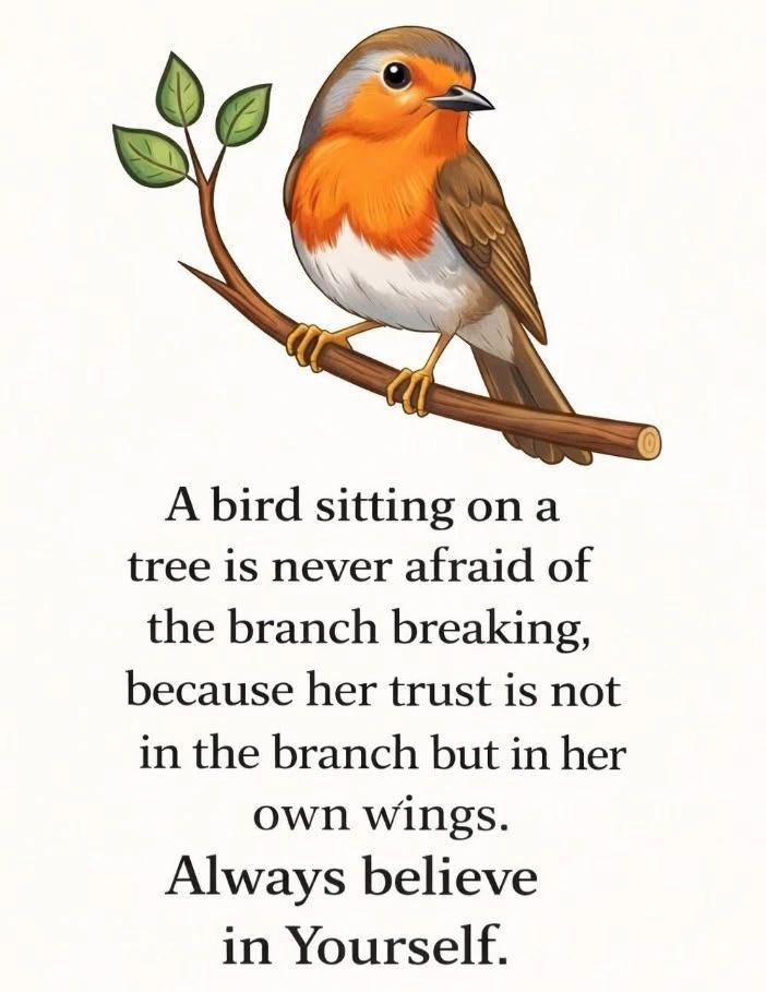 Johnny Farrell tweet media