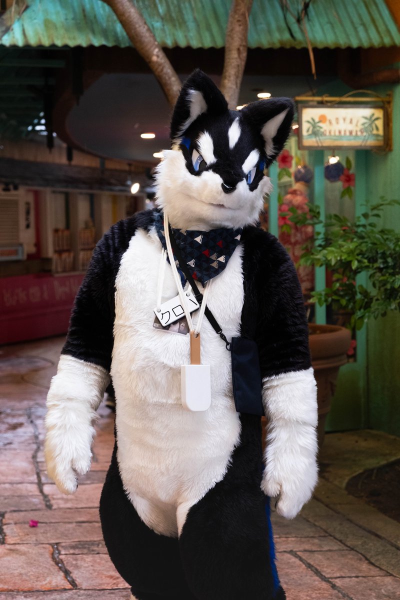 シルドラ(元ししまい) tweet media