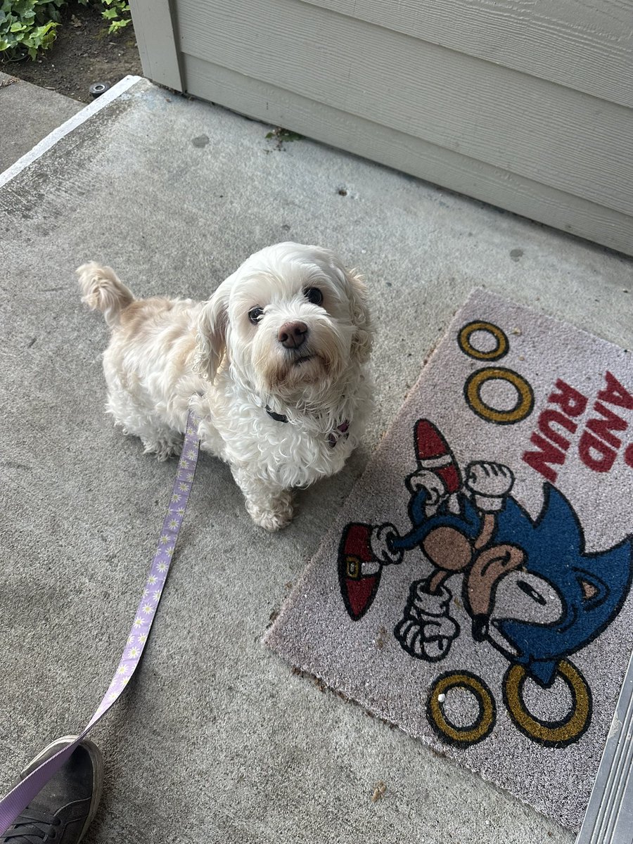 ThisIsFineGames tweet media