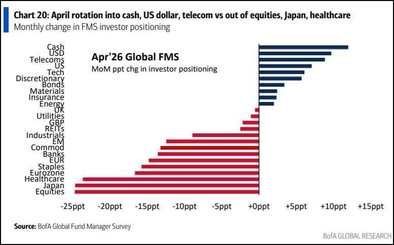 Kai Torrella tweet media