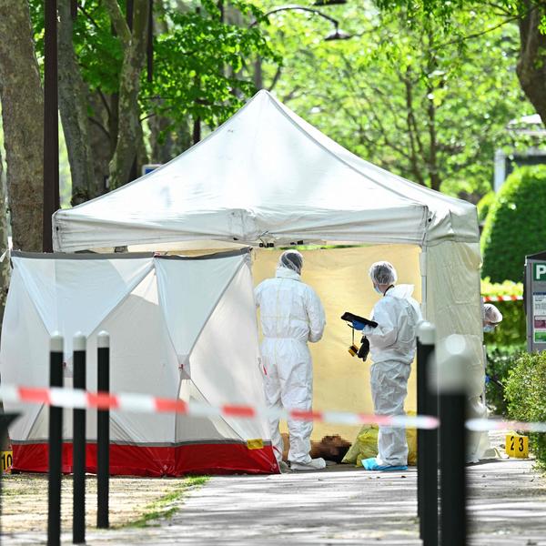 Visegrád 24 tweet media