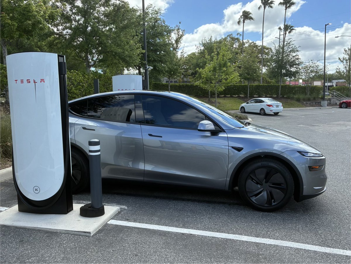 Digital Daisy🌸 tweet media