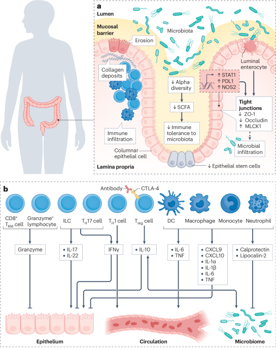 Nature Reviews Cancer tweet media