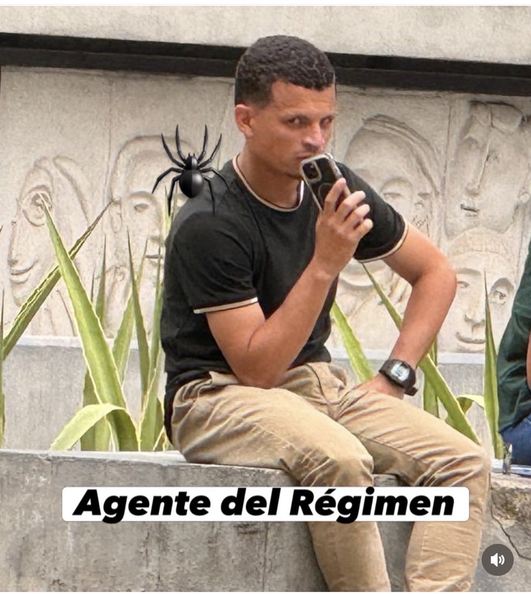 freddyzur tweet media