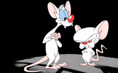 tradingtulips🌷 tweet media