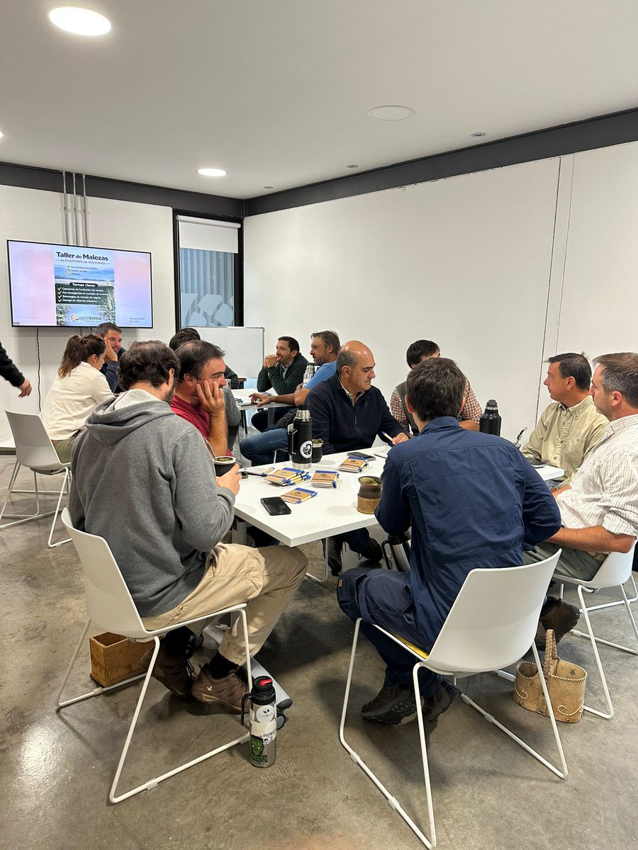 Amalia Belgeri tweet media