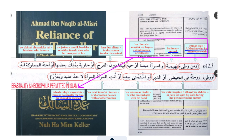 Jay_49erTikTok's tweet photo. Interestingly, we read a direct and at other times subtle approval of bestiality being permissible in Islam. https://t.co/jARcCwMbsI