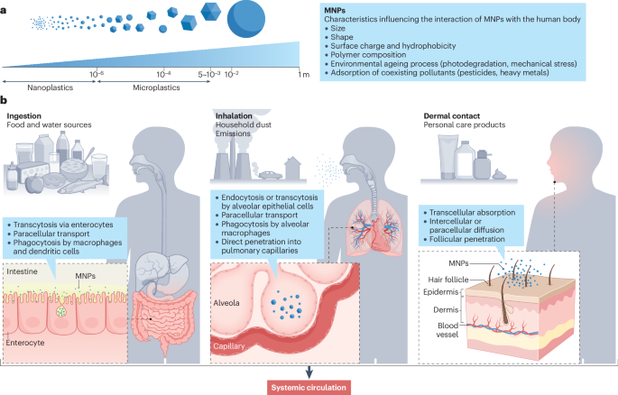 GutMicrobiota Health tweet media