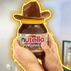 NicheDeployer tweet media