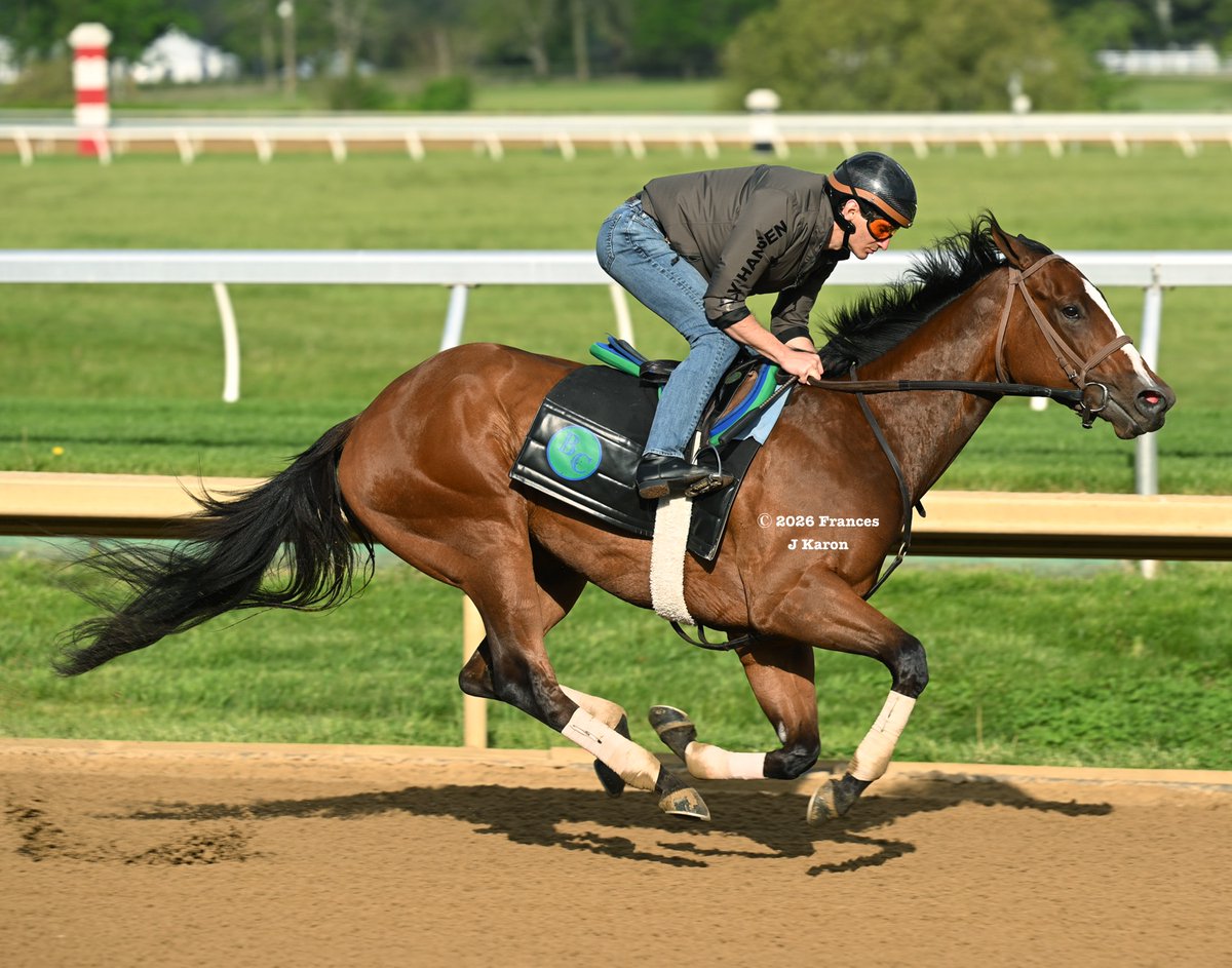 francesjkaron's tweet photo. First work back for Percy's Bar (Upstart) since crushing in the G1 Ashland and she picked up right where she left off, with her fifth consecutive bullet (1/30) at Keeneland while barely breaking a sweat. She covered 4 fur. in :47.00.

💚💙 https://t.co/NpINLXp6fs