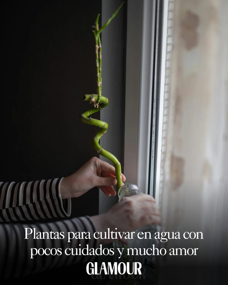 Glamour Mex y Latam tweet media