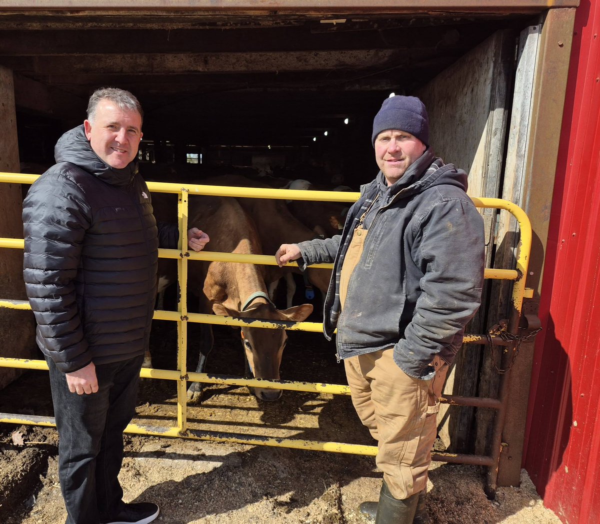 Daniel Allain tweet media