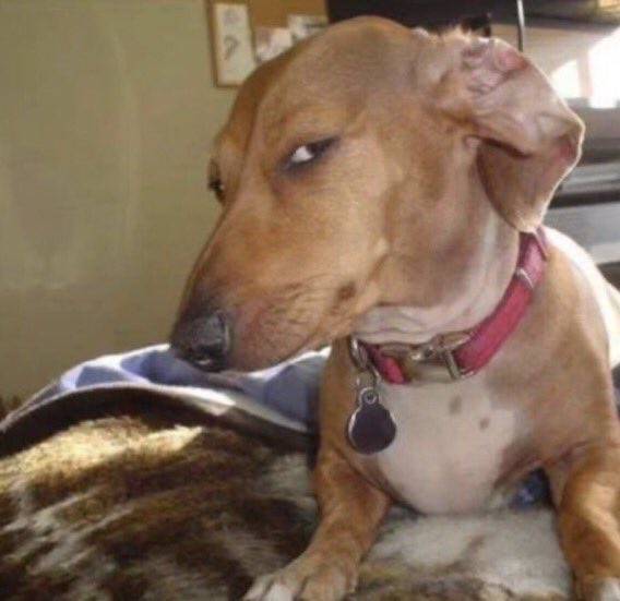 💚Oh La La Denyse💚 tweet media