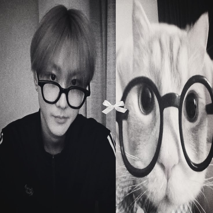 Сая⁷ tweet media