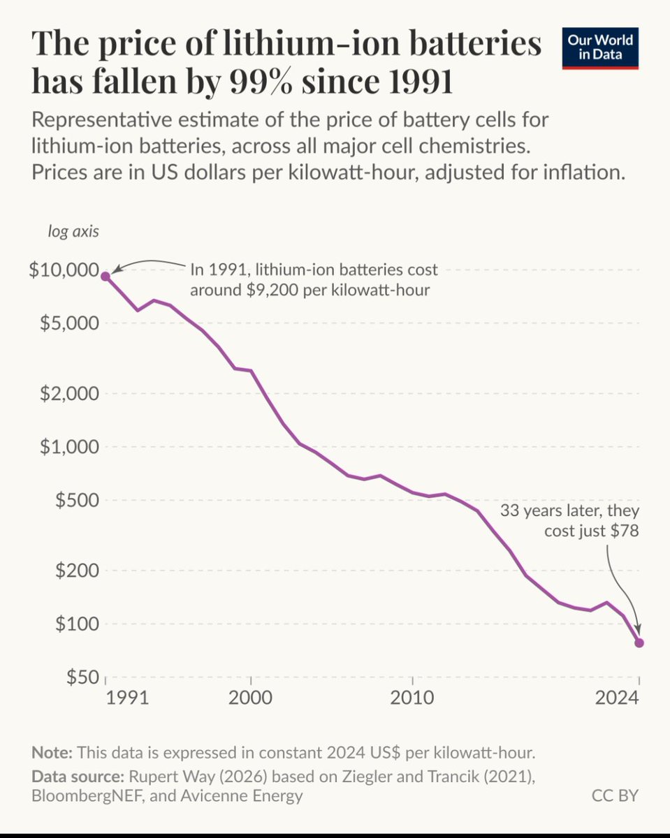yourneedler tweet media
