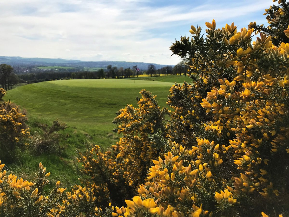 Close House Golf tweet media