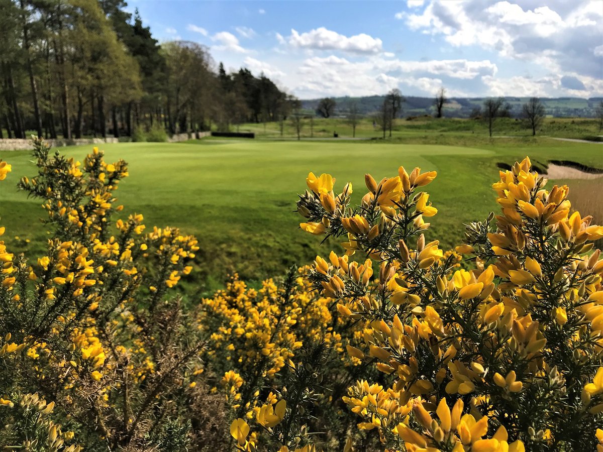 Close House Golf tweet media