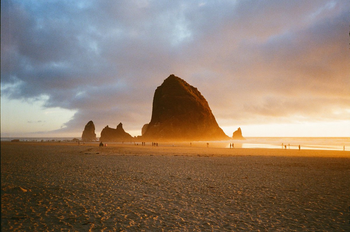 Michael Boegl tweet media