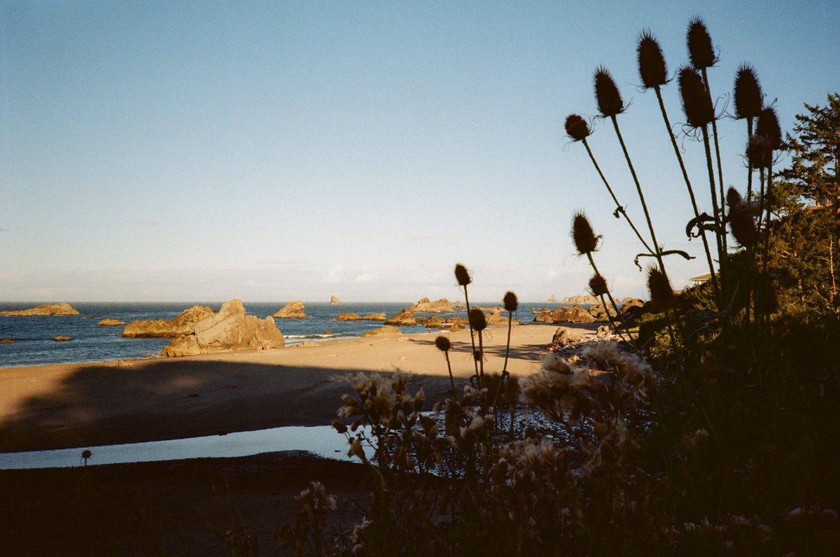 Michael Boegl tweet media