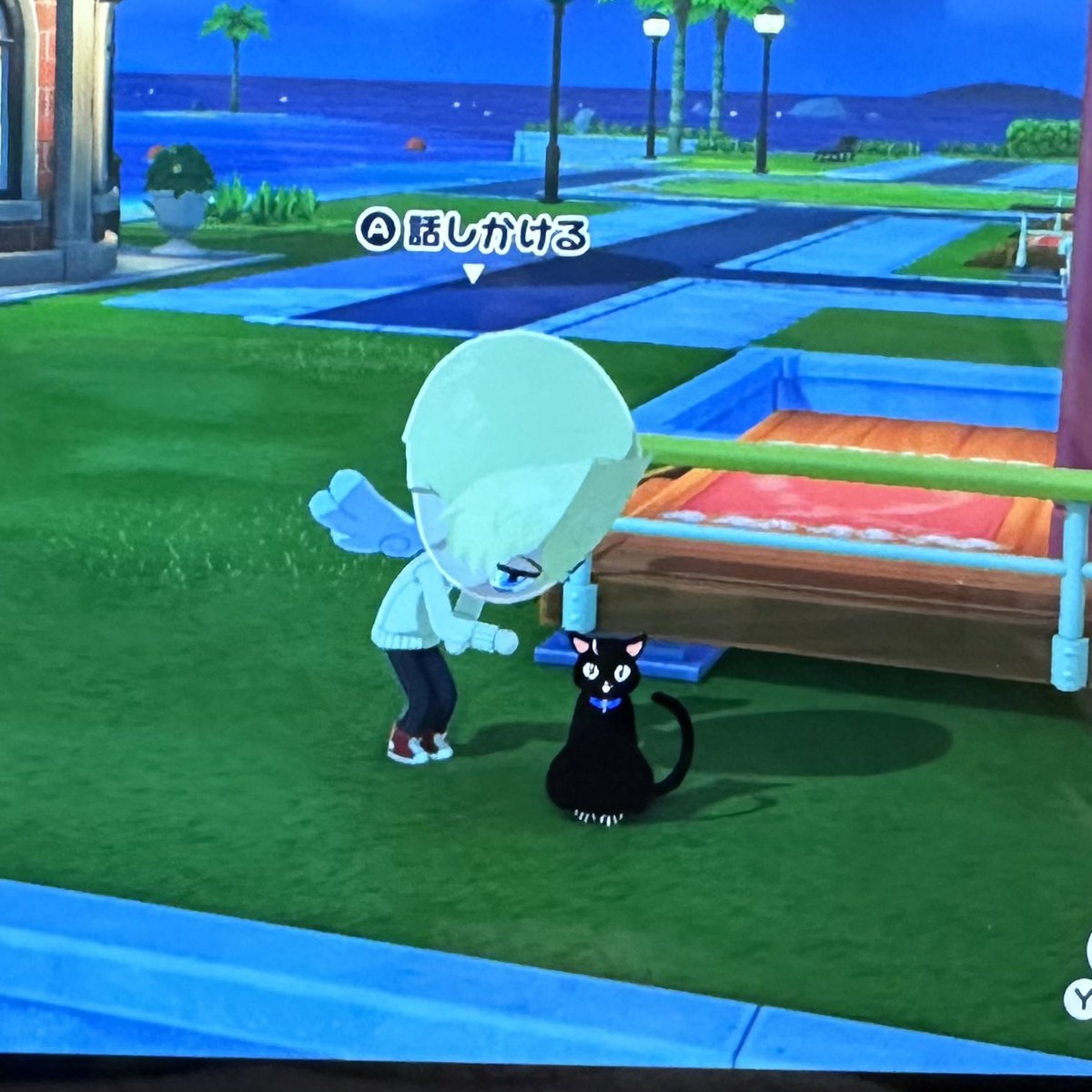 ぴょんぴょんしながらついてくるのかわいすぎる🥰🥰🥰