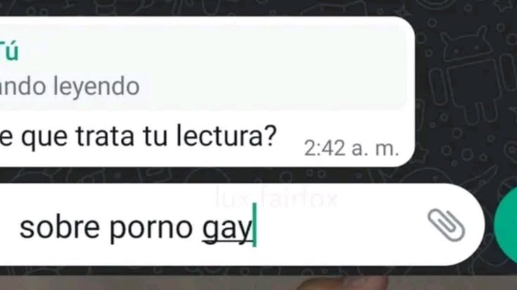 danielsito pro tweet media