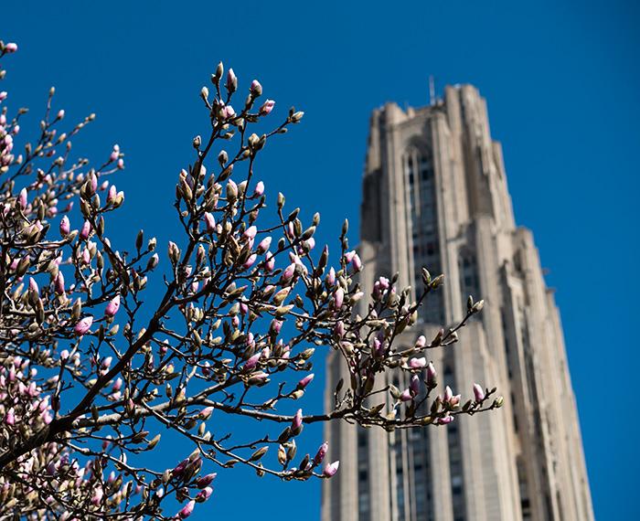 School of Computing and Information tweet media