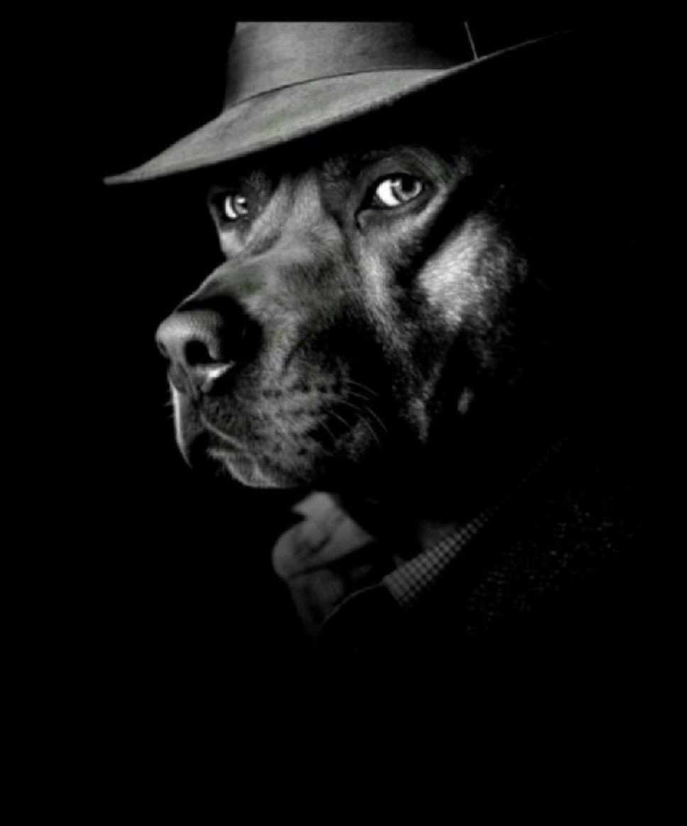 Brick🩸 tweet media