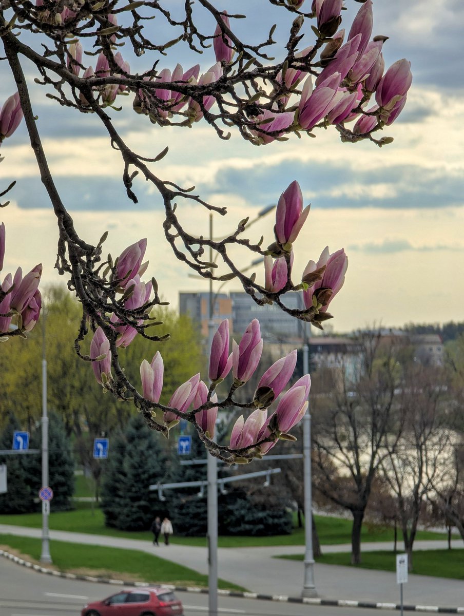 Вам листівочки з Ха