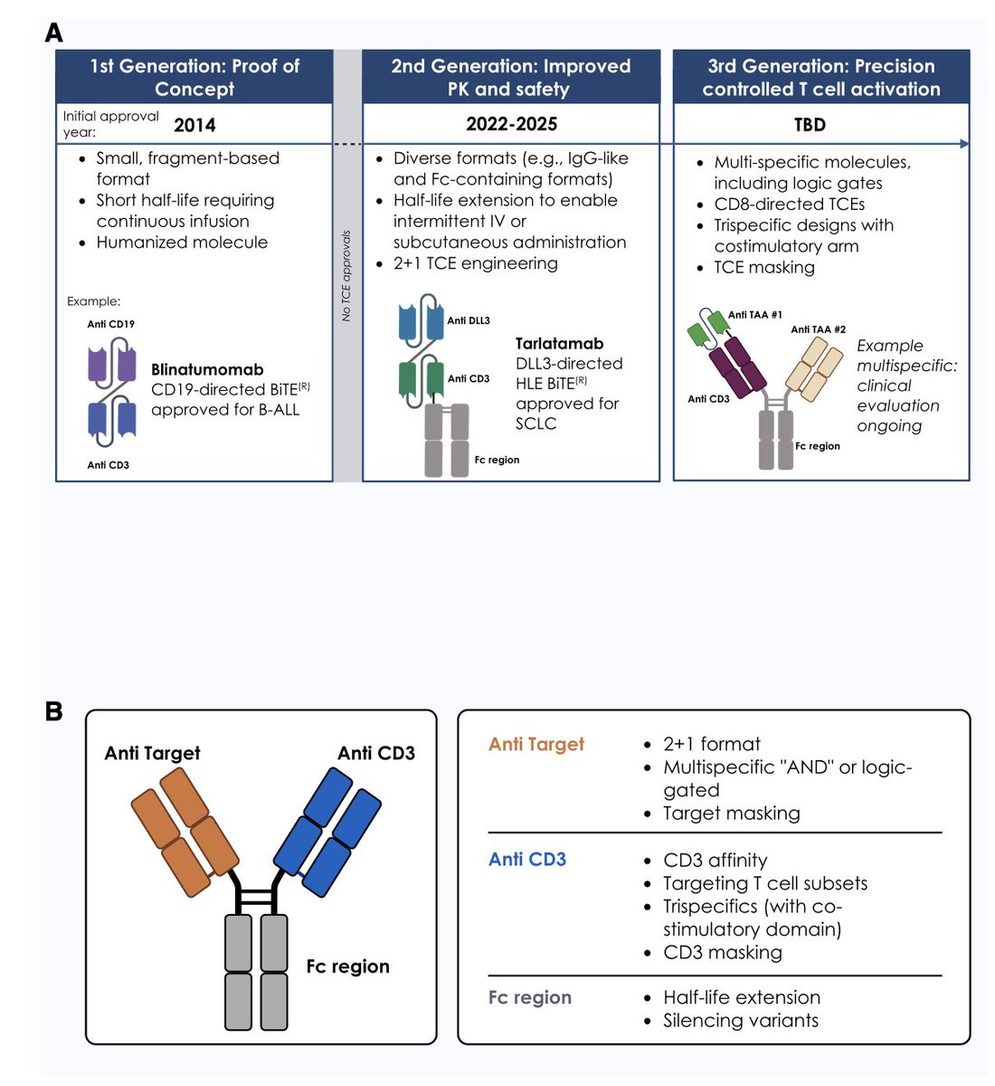 Cancer immunotherapy keeps revving up. Now onto a 3rd generation of T cell engagers 
sciencedirect.com/science/articl…
