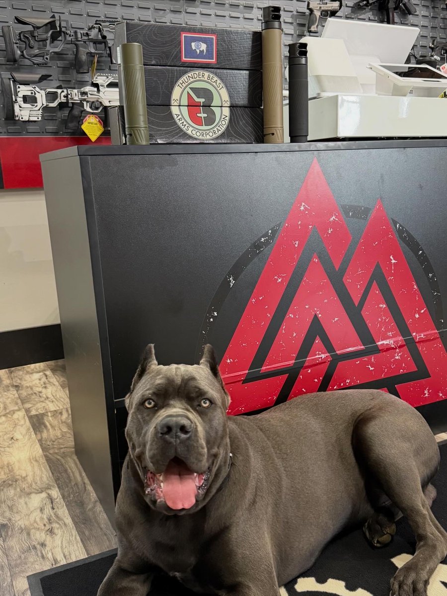 Paramount Tactical - Gary Melton tweet media