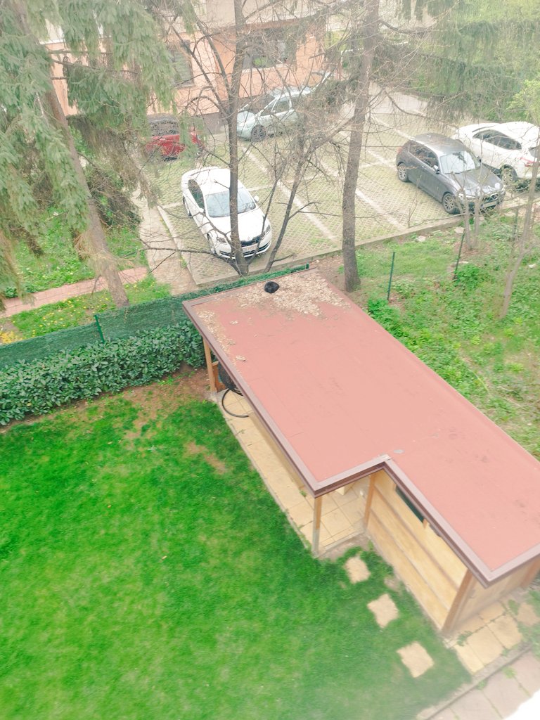 Pepsipopsa tweet media