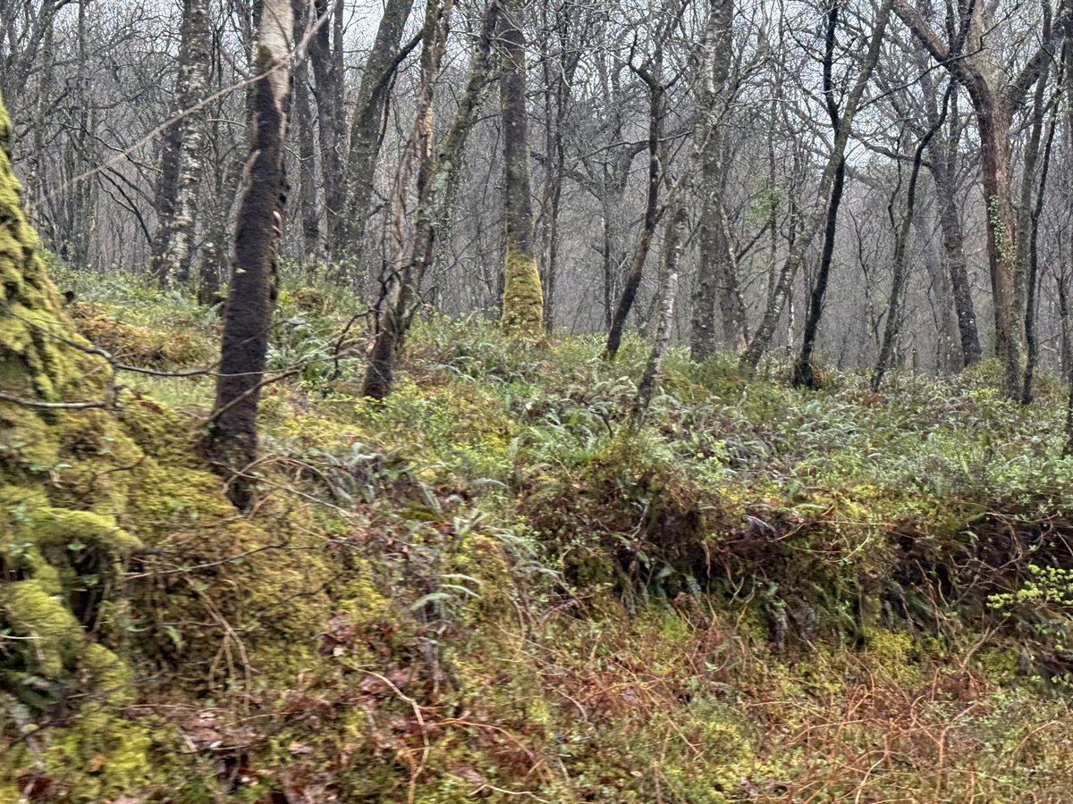 Russell Crowe tweet media